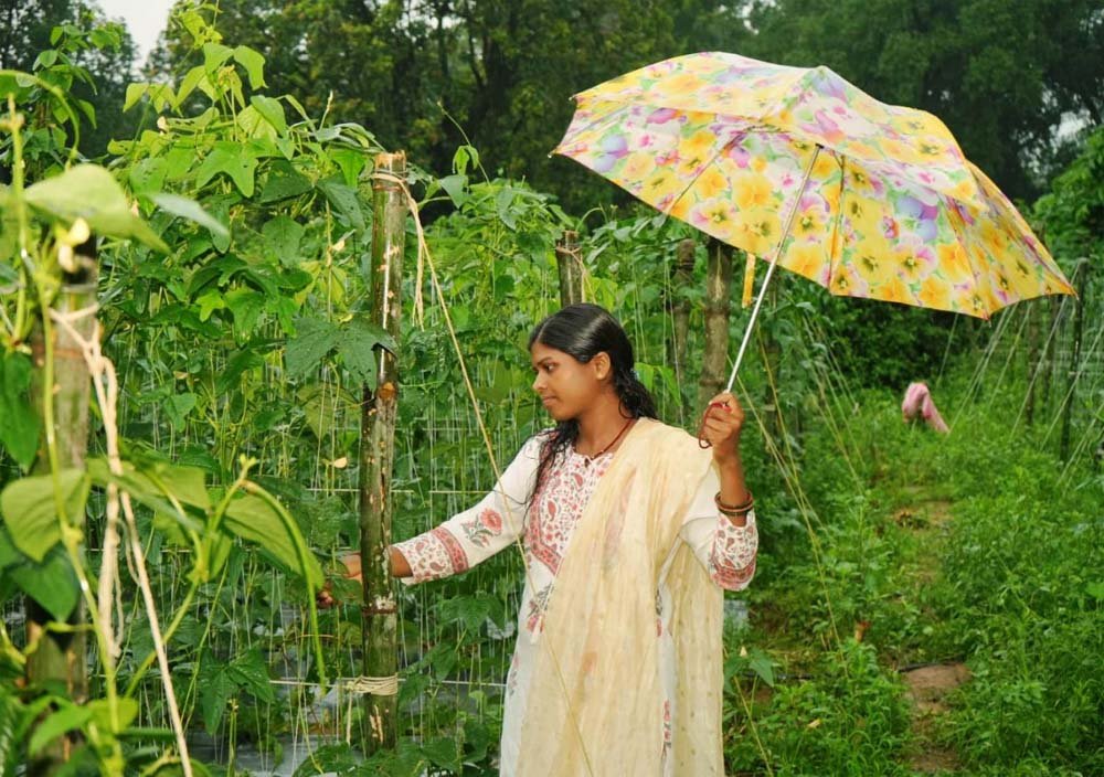 ड्रिप विधि से सब्जी की खेती ने बनाया ‘लखपति दीदी’, सालाना डेढ़ लाख की कमाई 1 Vegiteble 01