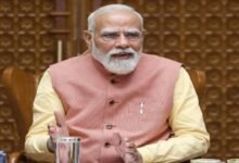 modi 29 3