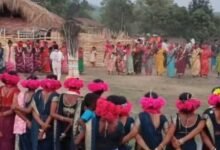 nAXAl 02