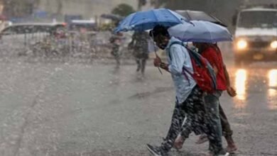 rain 5