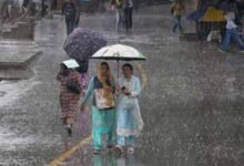 rain 3 7