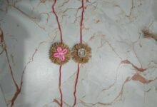 rakhi 03
