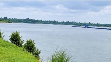 25 साल में छह गुना बढ़ी सिंचाई क्षमता, GPM में 25,936 हेक्टेयर तक पहुंचा आंकड़ा 2 17A 138