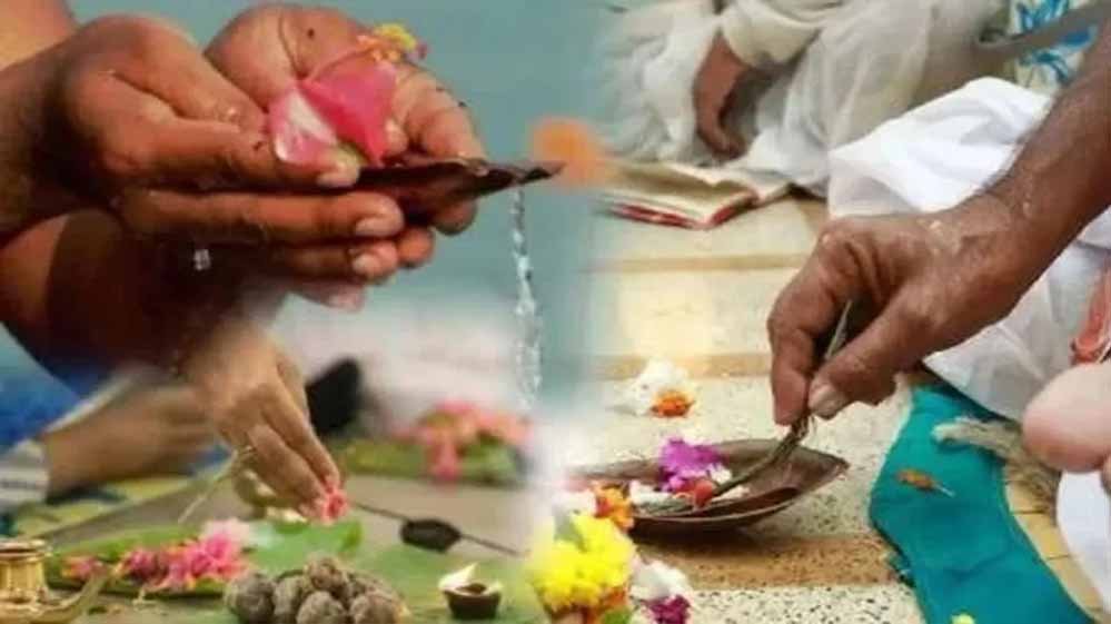 पितरों के लिए खास रहेगा श्राद्ध पक्ष, 60 साल बाद शनिचरी अमावस्या और गजछाया का संयोग 1 24 129