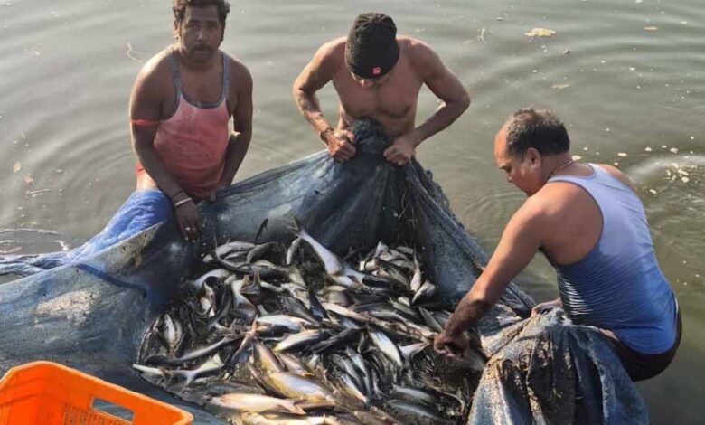 मत्स्य पालन से संवरी गांधीराम की ज़िंदगी 3 24 163