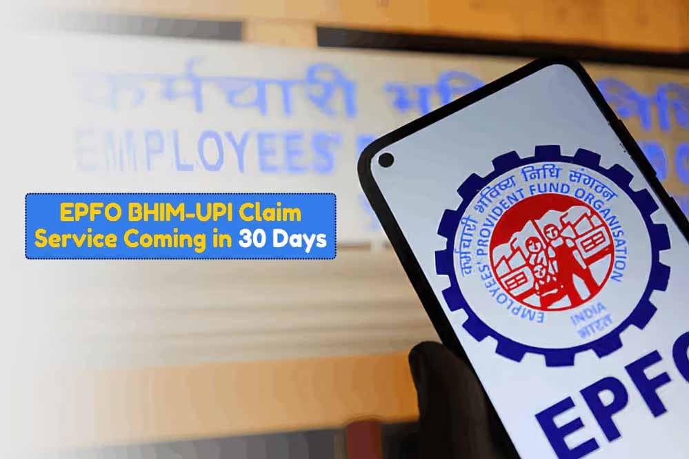 घर बैठे PF ट्रांसफर करें, अलग-अलग Member ID का पैसा होगा एक जगह 1 26A 85