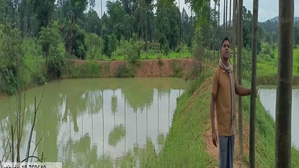 मावा मीन अभियान- नारायणपुर के ग्रामीण अंचल में आजीविका की नई क्रांति 1 28A 211