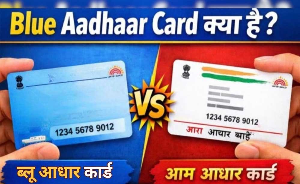 5 और 15 साल की उम्र में जरूरी है आधार अपडेट! जानें नीले बाल आधार और सफेद आधार के नियम 1 30 A 159