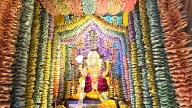 गणेश उत्सव से पहले सरकार का बड़ा फैसला, आंध्र प्रदेश के सभी गणेश पंडालों की बिजली होगी फ्री 4 9A 163