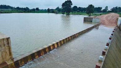 खरीफ की 30 और रबी की 15 हेक्टेयर फसल को मिल रहा सिंचाई का पानी, वर्तमान में पूरी क्षमता से भरा बांध 3 Bandh 03 1
