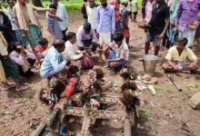 Chhattisgarh News 01 2 10