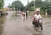 Chhattisgarh News 02 3 17