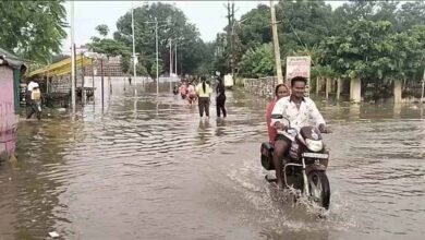 Chhattisgarh News 02 3 17
