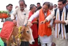 छत्तीसगढ़ में धूमधाम से मनेगा पोला पर्व, CM विष्णुदेव साय की कार्यक्रमों में होगी शिरकत 30 Chhattisgarh News 06 1 5