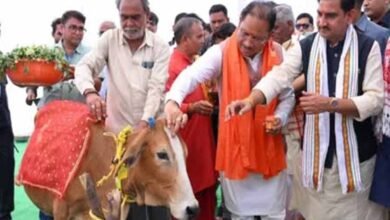 छत्तीसगढ़ में धूमधाम से मनेगा पोला पर्व, CM विष्णुदेव साय की कार्यक्रमों में होगी शिरकत 2 Chhattisgarh News 06 1 5