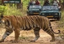 Chhattisgarh News 06 2 13