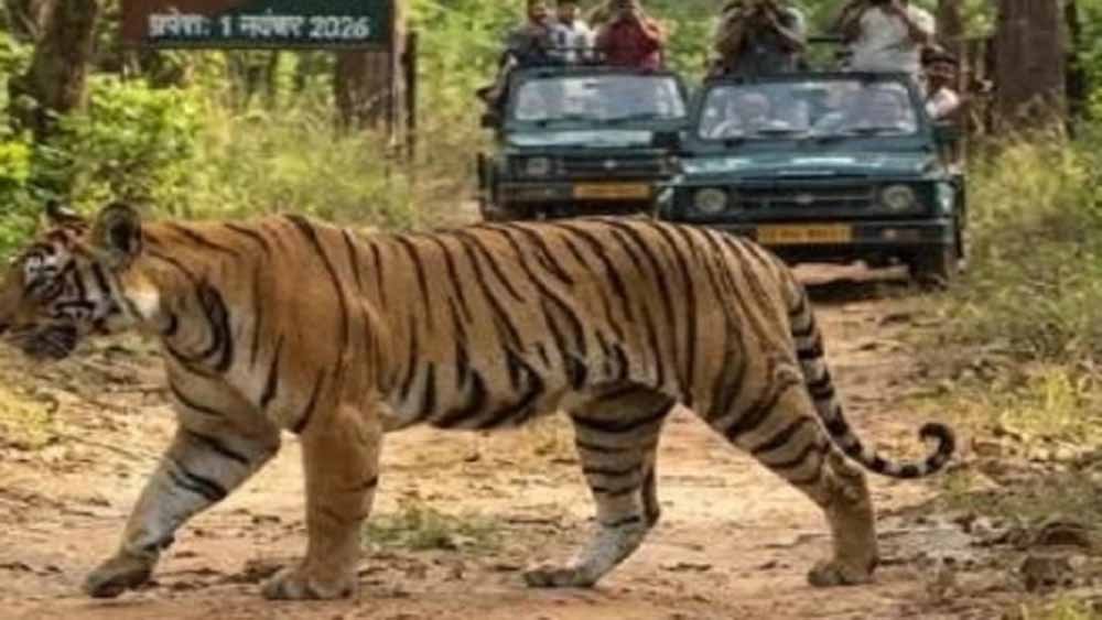 Chhattisgarh News 06 2 13
