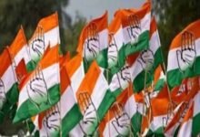 Chhattisgarh News 10 3 1