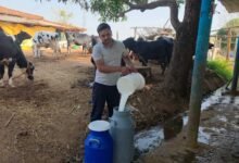 Dairy 03