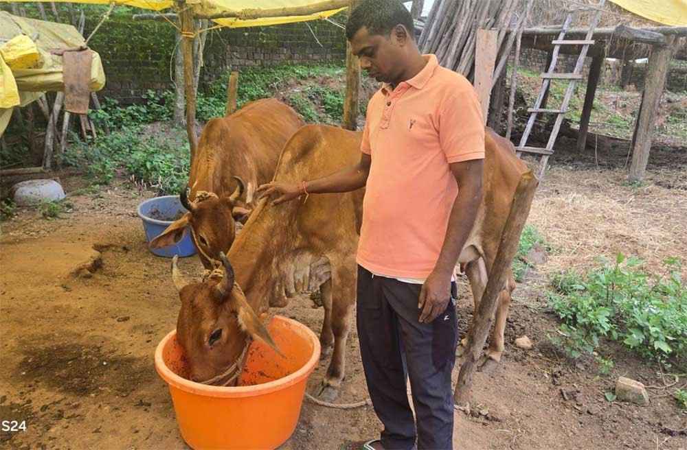 नस्ल सुधार ने बदली किसान विनोद की किस्मत, घर की बछिया बनी आर्थिक समृद्धि का आधार 1 GAU 01
