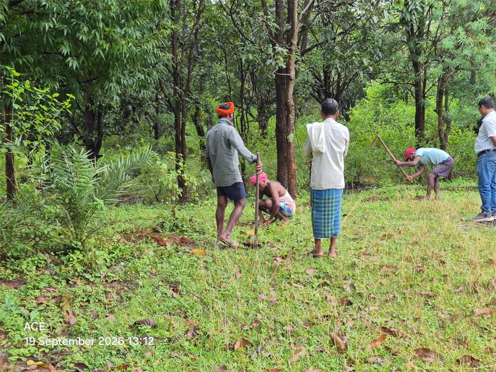 जनप्रतिनिधियों, ग्रामीणों और विभागीय कर्मचारियों ने मिलकर की बांध परिसर की साफ-सफाई 1 Grupp 03