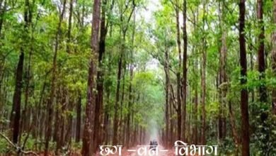 3630 दैनिक वेतनभोगियों के नियमितीकरण की तैयारी शुरू, छत्तीसगढ़ वन विभाग में खुशी की लहर 2 cG 01J 08 2