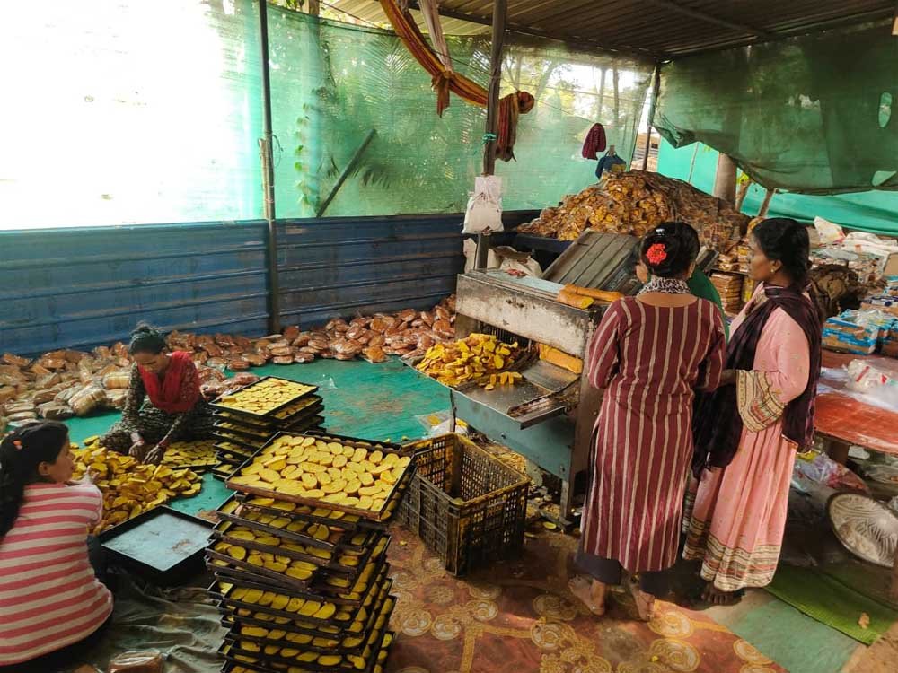 रोजगार दूसरे की बेकरी में काम करने से अपने कारोबार तक का सफर, प्रधानमंत्री श्री नरेंद्र मोदी का जताया आभार 1 dILIP 03