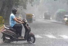rain 4A 82 3 6