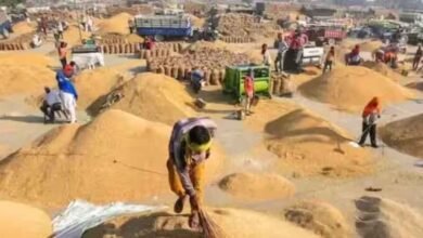 CG में धान खरीदी को लेकर सरकार अलर्ट, किसानों की सुविधा के लिए बनाई जा रही योजना 2 17A 138