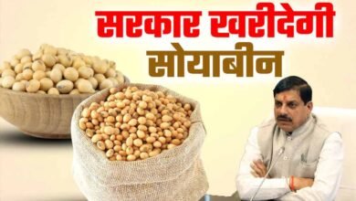 Soybean Registration: 3 अक्टूबर से शुरू होगा पंजीयन, 17 अक्टूबर है आखिरी तारीख 4 30A 192