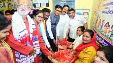 आंगनबाड़ी कार्यकर्ताओं, सहायिकाओं और मितानिनों का किया सम्मान, गर्भवती महिलाओं की हुई गोदभराई 3 APNA