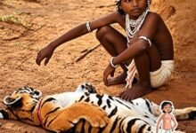 Chanderuu