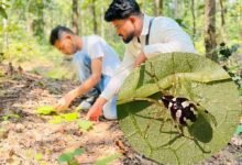 Chhattisgarh News 02 3 21
