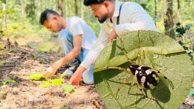 Chhattisgarh News 02 3 21
