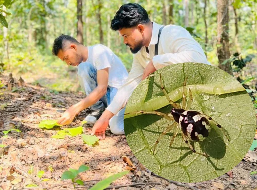 Chhattisgarh News 02 3 21