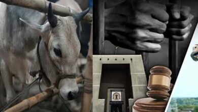 छत्तीसगढ़ में गौ हत्या के आरोपियों को कानूनी मदद देने पर वकीलों का रुख स्पष्ट, जारी किया लिखित पत्र 2 Chhattisgarh News 04 3 20