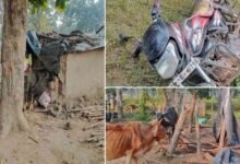 Chhattisgarh News 05 1 18