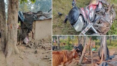 CG में हाथियों के हमले से दहशत, सुबह 3 बजे गांव में मची अफरा-तफरी 2 Chhattisgarh News 05 1 18