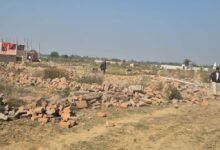 Chhattisgarh News 05 3 5