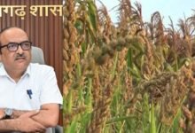 Chhattisgarh News 08 1 7