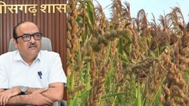 Chhattisgarh News 08 1 7