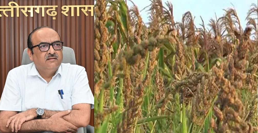 Chhattisgarh News 08 1 7
