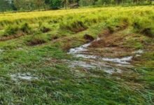 Chhattisgarh News 09 2 12