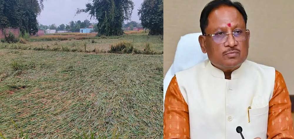 छत्तीसगढ़ में फसल नुकसान का जल्द होगा आकलन, CM साय ने अधिकारियों को दिए सर्वे के आदेश 1 Chhattisgarh News 16 2