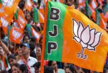 bjp53 3