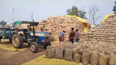 धान बेचने के लिए अब सोसायटियों में लंबी कतारों की जरूरत नहीं, ‘तुंहर टोकन’ एप से घर बैठे मिलेगा टोकन 2 dhsan 021