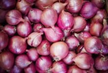 onion 7 1