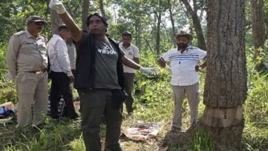 3500 पेड़ों को खत्म करने की कथित साजिश का खुलासा, छत्तीसगढ़ के उदंती में पेड़ों के इलाज के लिए पहुंचे विशेषज्ञ 2 tree 2