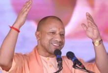 yogi0555