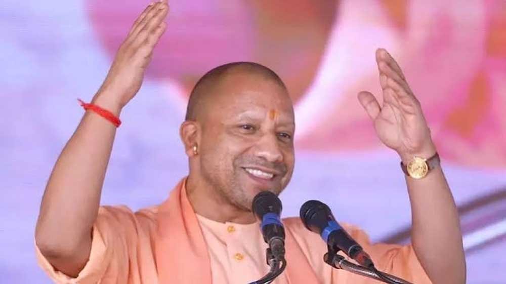 yogi0555